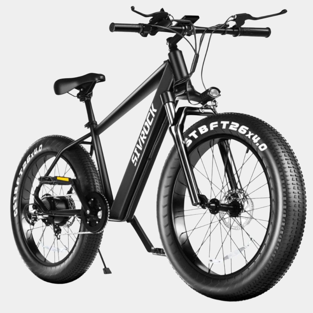 Professional Electric Bike For Adults Ebike