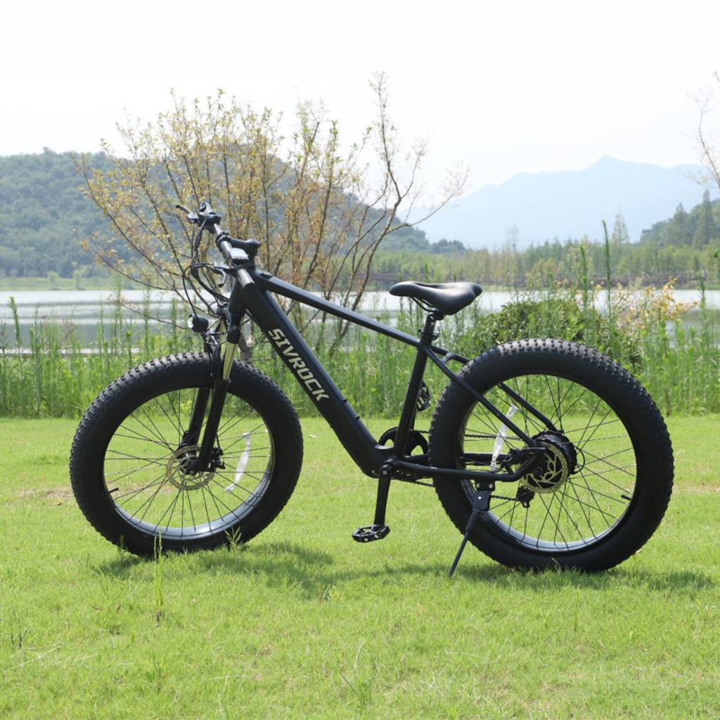 Professional Electric Bike For Adults Ebike