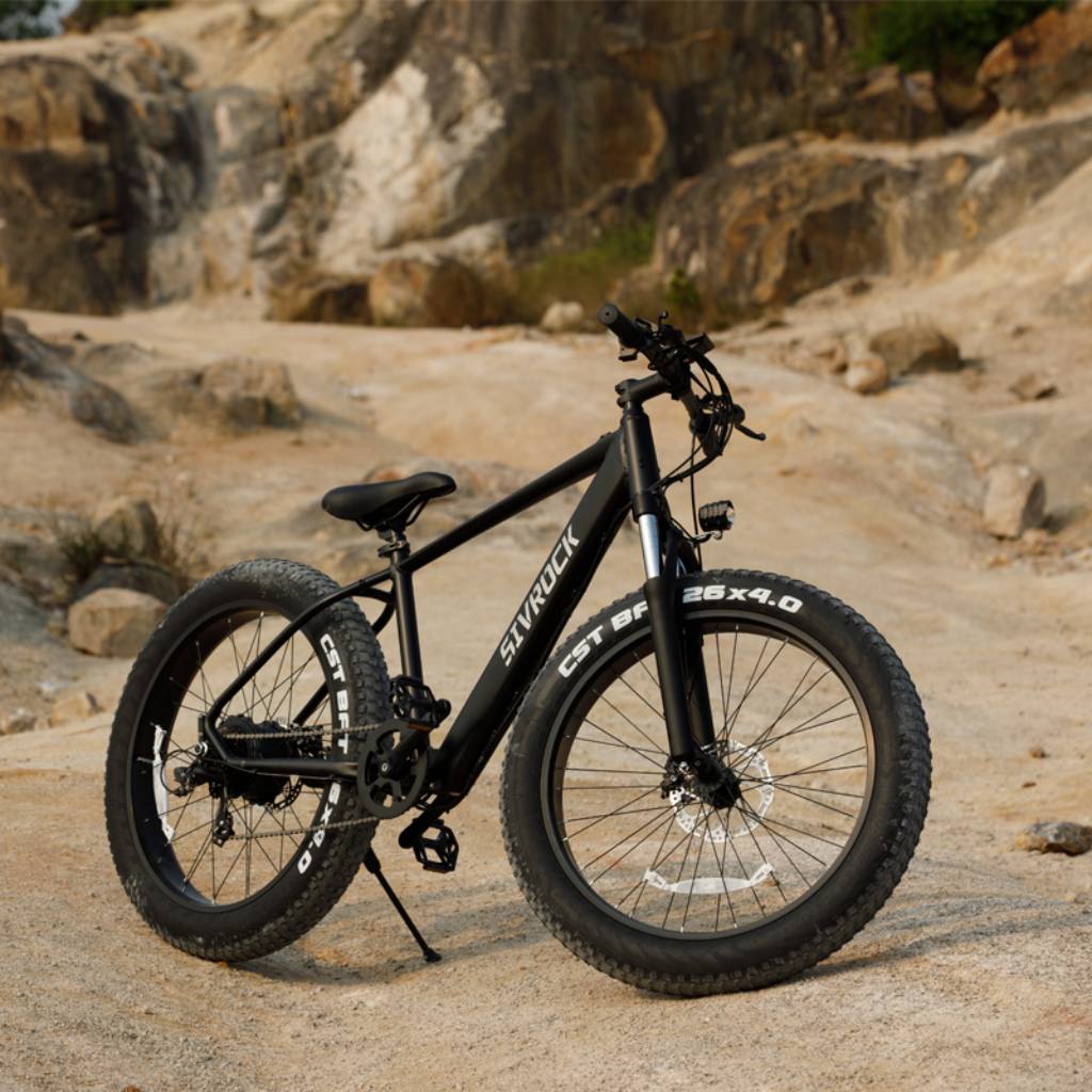 Professional Electric Bike For Adults Ebike