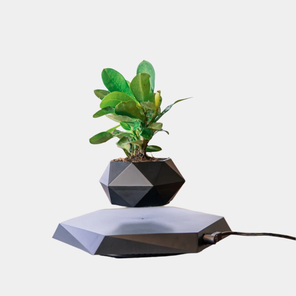 Levitating Magnetic Flower Pot – Floating Bonsai Planter for Home & Office Decor