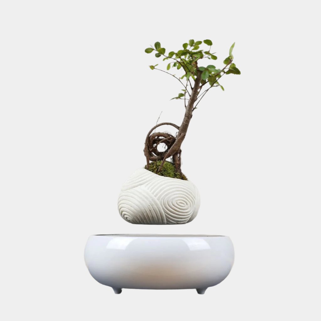 Magnetic Levitation Potted Plant – Creative Gift & Furniture Decoration