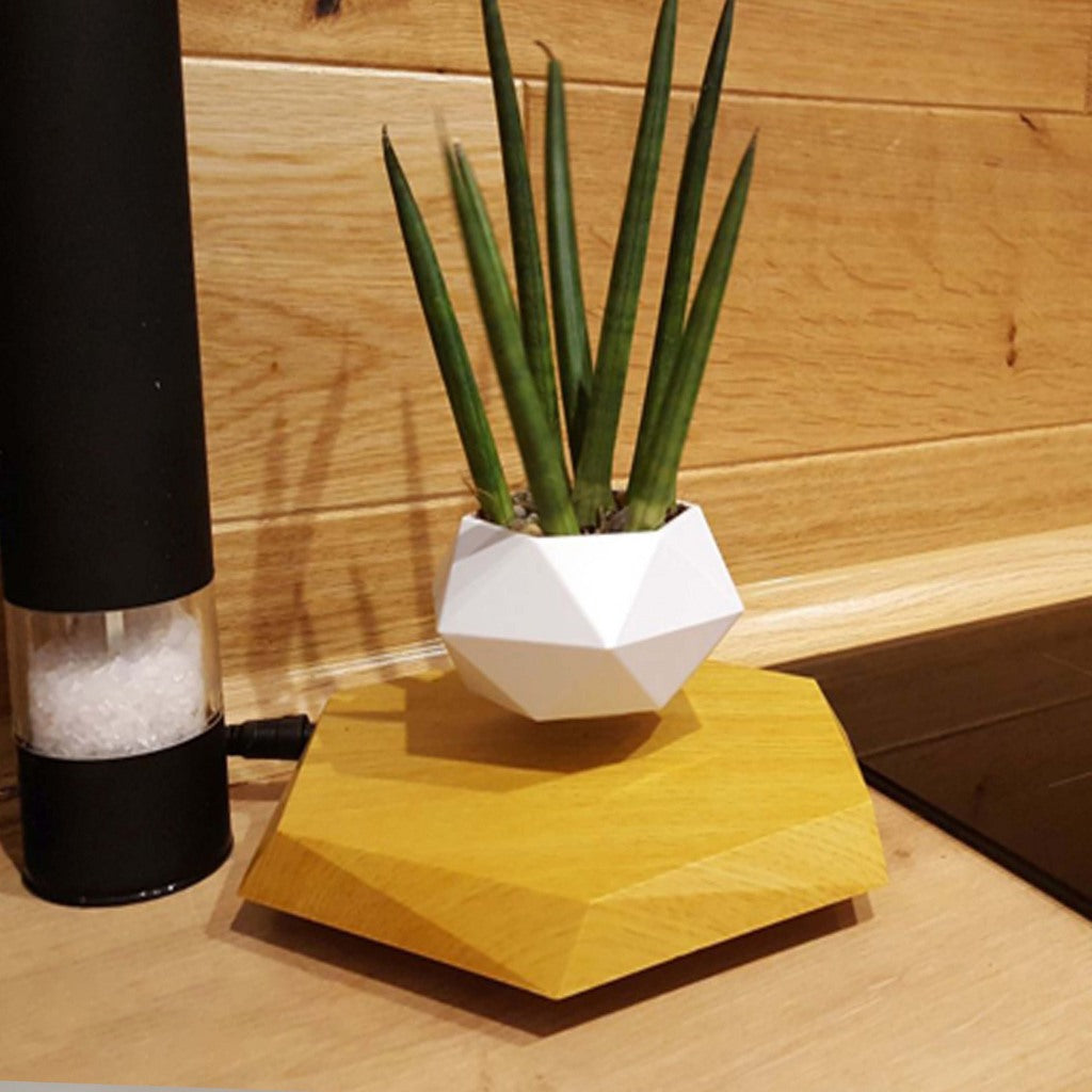 Levitating Magnetic Flower Pot – Floating Bonsai Planter for Home & Office Decor