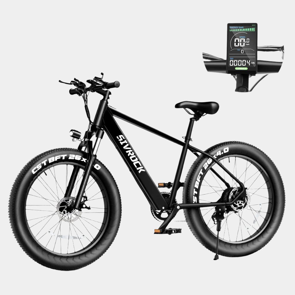 Professional Electric Bike For Adults Ebike